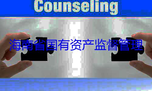 委副书记王资产监督管有福接受审理委员会党海南省国有查调查